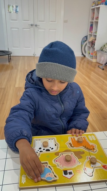 Farm Animal Knob Sorter