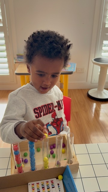 Pincer Grasp Sorting Wonder